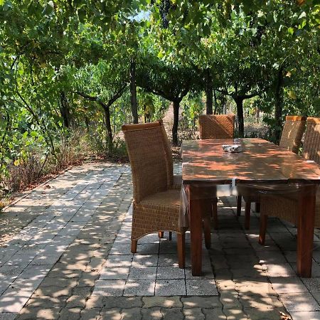 Szendergo - Apartman Hajos Pincefalu Экстерьер фото