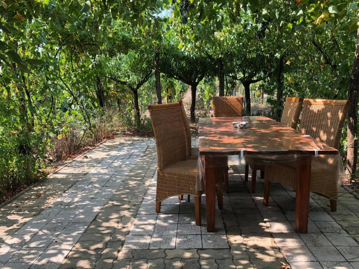 Szendergo - Apartman Hajos Pincefalu Экстерьер фото